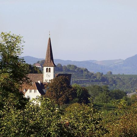 Ferienwohnung Susanne Bad Krozingen Bagian luar foto